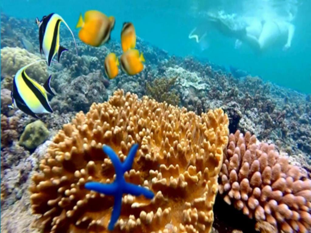 Tulamben Wreck Divers Resort y Restaurante Exterior foto