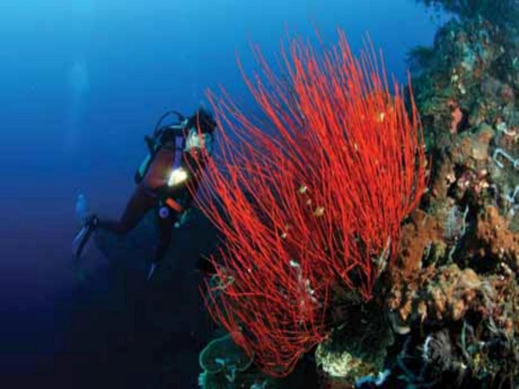 Tulamben Wreck Divers Resort y Restaurante Exterior foto