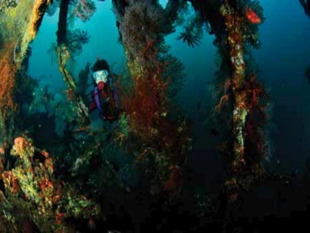 Tulamben Wreck Divers Resort y Restaurante Exterior foto